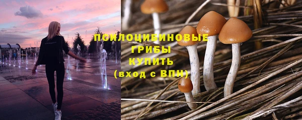 амф Алексеевка
